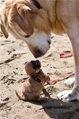 Awwww!