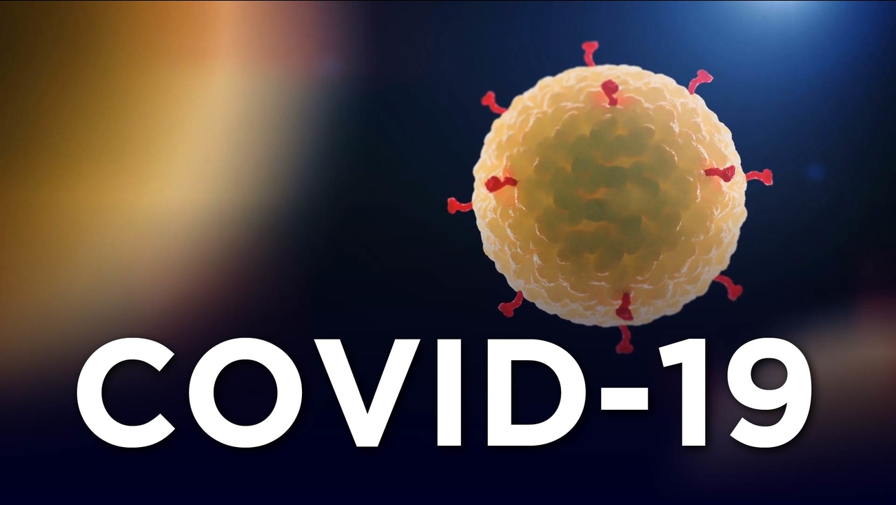 Auto Test Covid-19