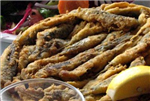 Hamsinin Görünüşü