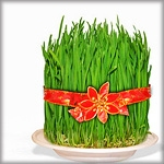 Novruz Holiday