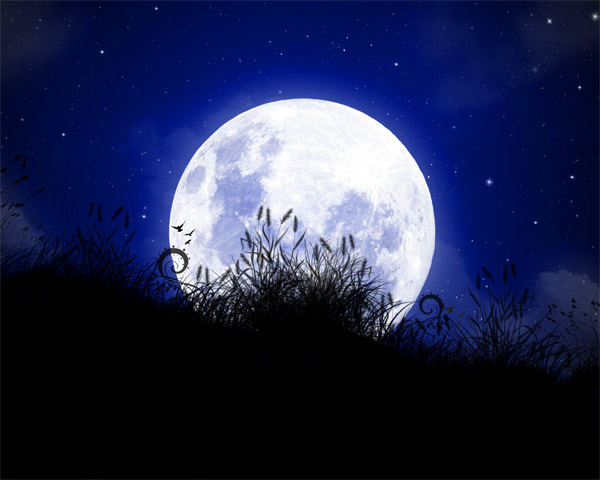 Notte