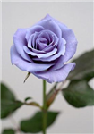 For You From Me