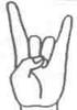 Rock On Roll..