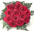 read rose