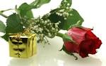 gift to you