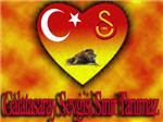 Hangi Takımlısın? Galatasaray? Beşiktaş? Fenerbahç