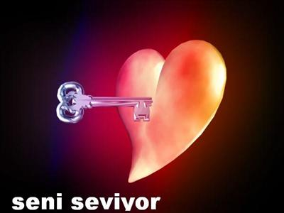 Seviyor Sevmiyor