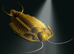 Trilobite