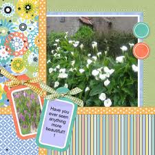 scrap book 1