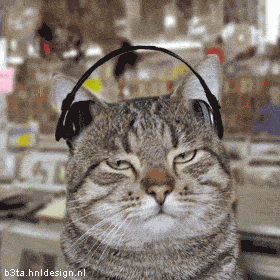 cat listening to music