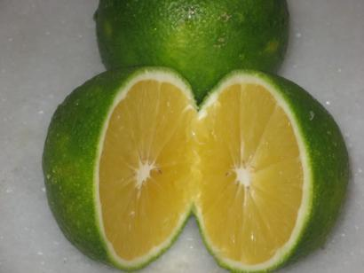 mosambi