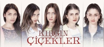 Hangi Kırgın Çiçekler Karakterisin