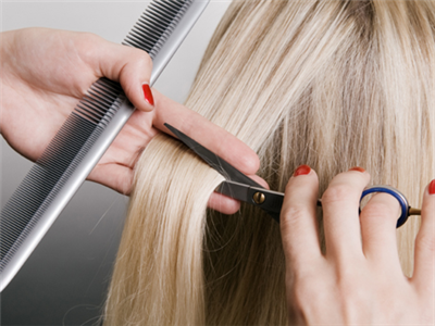 Corte