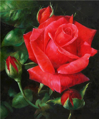 Rose