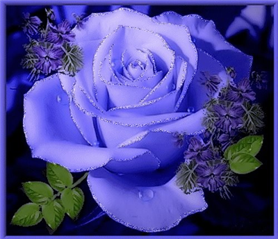 Good evening