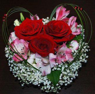 Beautiful Flowers