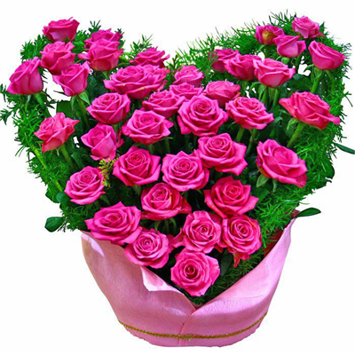 Beautiful Flowers