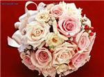 Cute Gifts
