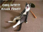 Come Look At My Pussy...... Cats!!