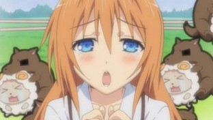 ¿Cuanto Quieres A Mayo Chiki?
