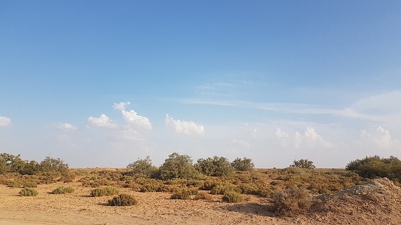 El Meghaier