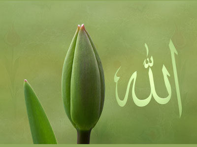 Allah الله  