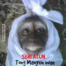 Monkey