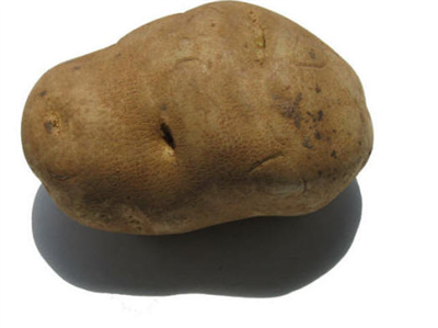 Una Papa  de Sanfer