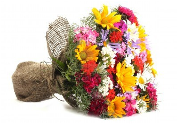 Bouquett del perdono..