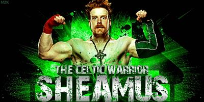 Wwe Anketi