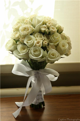 bellissimi fiori