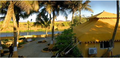Lion safari camp