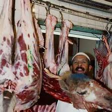 خروف مشفى