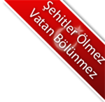 Resimler
