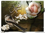 Sefaat Ya Resulullah