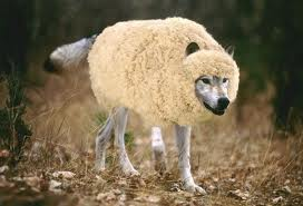 Sheepwolf