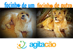 Floquinho
