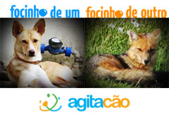 Tica