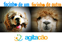 Bruna