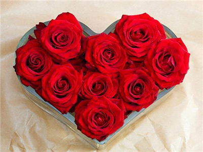Rosas rojas