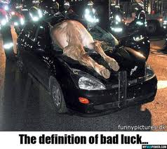 definition of bad luck (funnys)