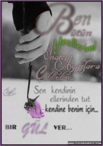 Şiir