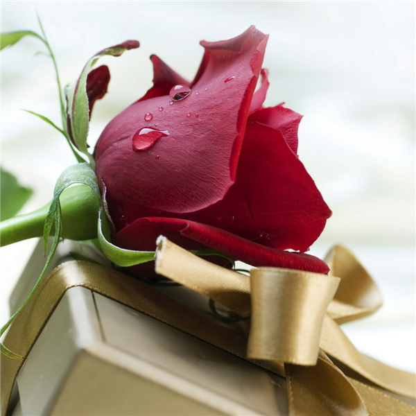 Gift 4 u