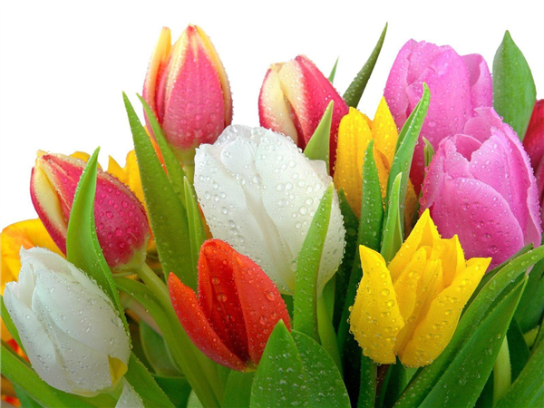 only for you