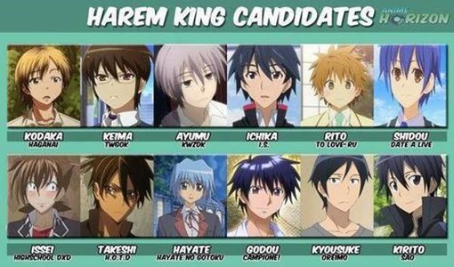 Siapakah kamu di anime harem >:)
