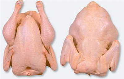cziken