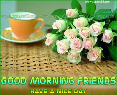 morning flower
