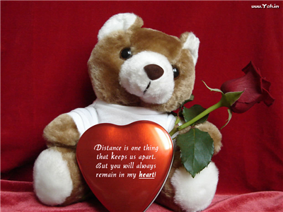 lovable teddy