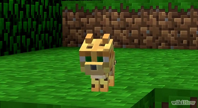 Hangi Minecraft Canavarısın