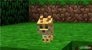 Hangi Minecraft Canavarısın